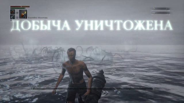 Bloodborne глитч с пушкой на Роме