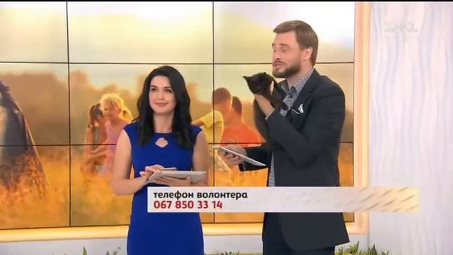 1+1 - окончание "Сніданку з 1+1" (31.08.2017) смотреть онлайн