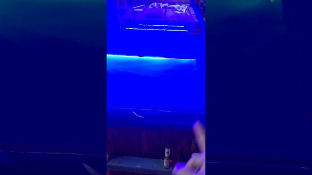 Вентиляция для Бани и банные фишки смотреть онлайн