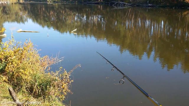 Ловля щуки в октябре на спиннинг рыбалка под Киевом в Киевской области на озере Рыбацкая стрелка смотреть онлайн