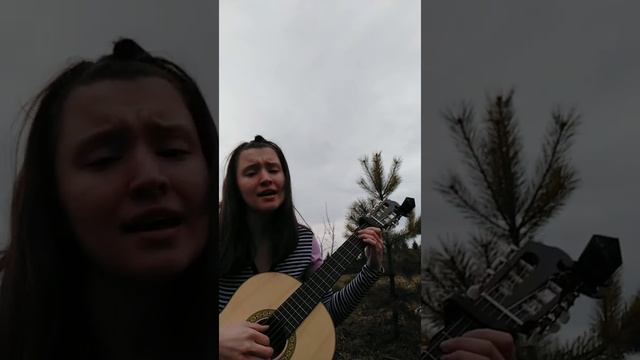 "Здесь птицы не поют" (слова - Булат Окуджава) из к/ф "Белорусский вокзал" смотреть онлайн