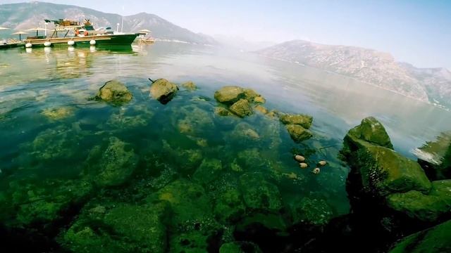 Kotor Bay, Dobrota. Bay views. Beautiful Montenegro in July смотреть онлайн