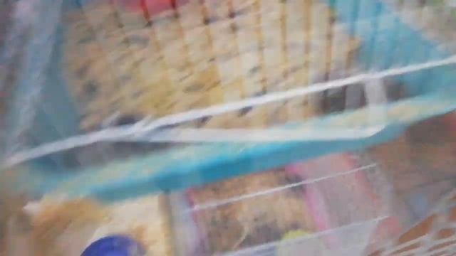 Пошёл за шавухой и попал под сильный ливень. пережидаю в магазине смотреть онлайн