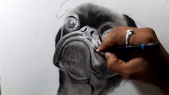 How to Draw a Realistic Pug Dog? | Dog Sketch Tutorial for Beginners | Step by Step смотреть онлайн