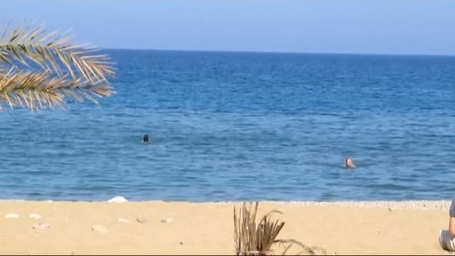 Vai beach Greece Crete Греция Крит пляж Вай 14.05.12 смотреть онлайн
