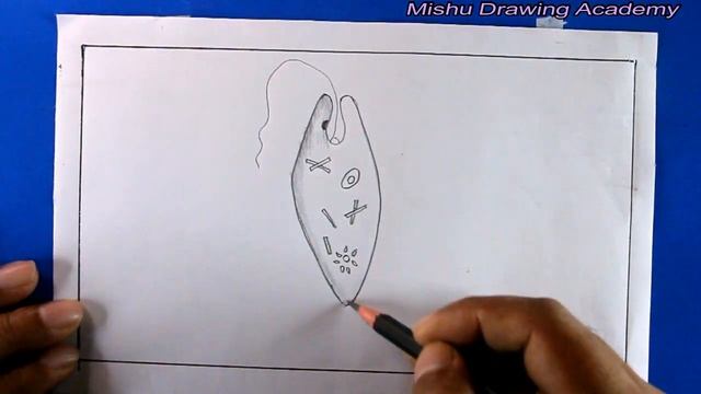 How TO Draw euglena easy/draw Euglena Viridis diagram смотреть онлайн