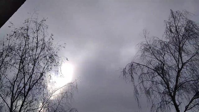 магический прогноз 4 ноября - ждите ☀️ без осадков. смотреть онлайн