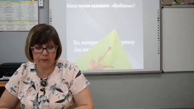 Мир насекомых. смотреть онлайн