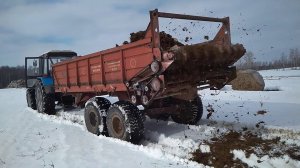 Навозоразбрасыватель ПРТ-10 в работе