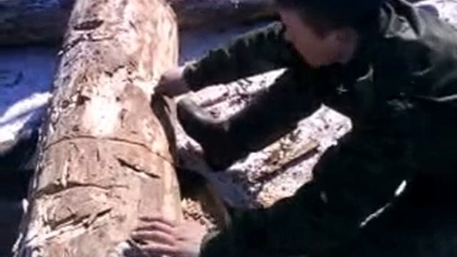 Ручная пила бензопила