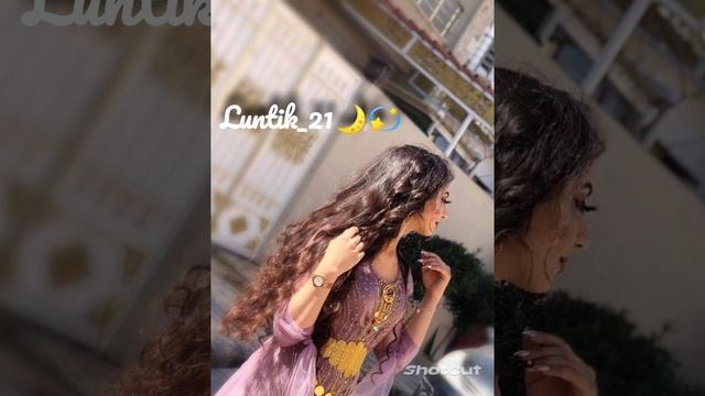 Новая Цыганская Полька 2023 ? смотреть онлайн