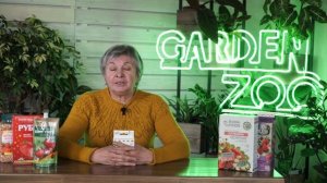 Почему сохнут кусты земляники ✔️ Как лечить Фузариоз ?
