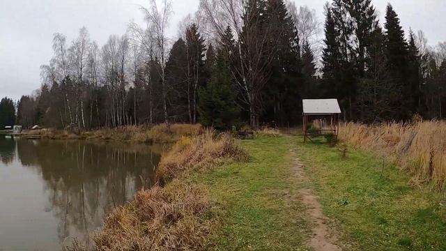 Ловля форели в Хомяково на платнике. Отчет о рыбалке 02.11.2020 смотреть онлайн