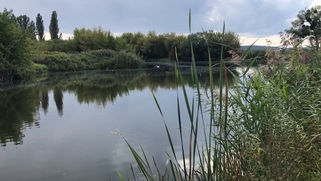 Первая осенняя рыбалка. Пробую ловить хищника. На час порыбачить вниз по течению. смотреть онлайн
