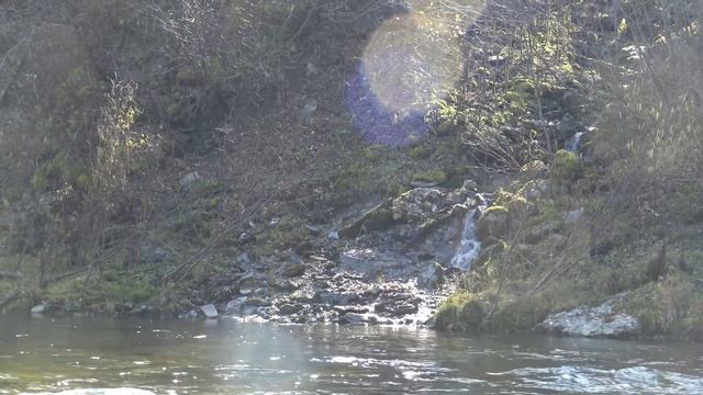 ЧТО ТАКОЕ ТАЙГА, видео о тайге, видео сюжет из тайги ? смотреть онлайн