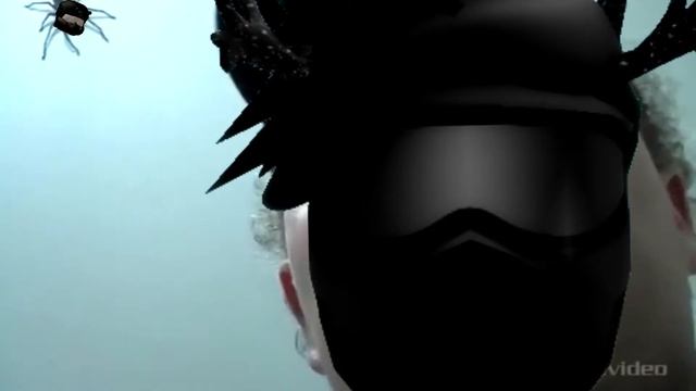 [Day of Dusk] The Border (Beta): Solo Raiding LOCKDOWN! #1 смотреть онлайн