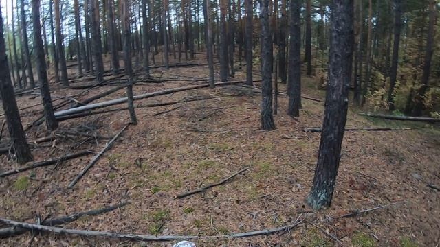 BSE Z 7 эндуро покатушка (поиск новых локаций) смотреть онлайн