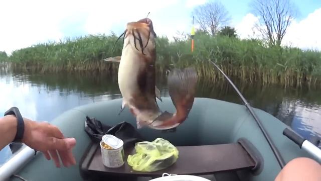 Рыбалка на деревенском пруду на поплавок.Тут обитают огромные караси. смотреть онлайн