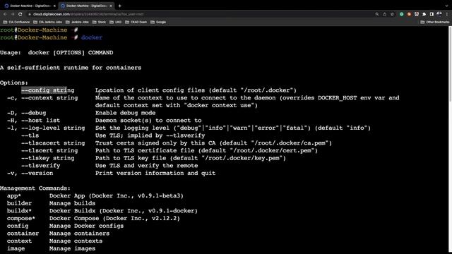 Check Docker Install and Configurations смотреть онлайн