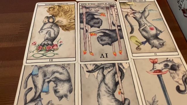 Расклад таро для мужчины 3 #тарокарты #тароонлайн #картинки #коты #loscarabeo смотреть онлайн