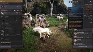 Пробуждение иллюзии БДО. С рысака до пегаса с нуля. T9 Arduanatt BDO horse.