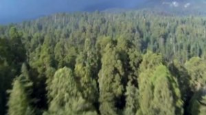 Вахтанг Кикабидзе  Где то там, далеко