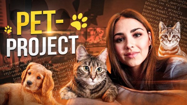 Pet-project в Data Science (простые идеи для проекта в IT)