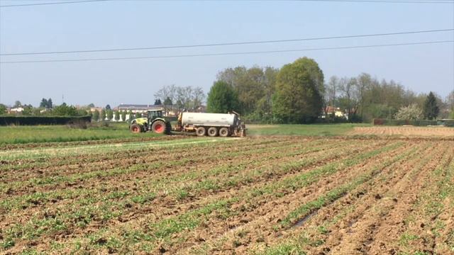 Az. Agricola Borghi - Liquame 2017 смотреть онлайн