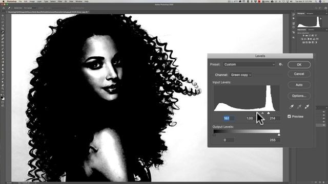 Cut Out Hair FAST! Photoshop Tutorial