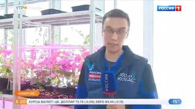 Утро России: В Кемерове заработала "Школа Фермера" смотреть онлайн