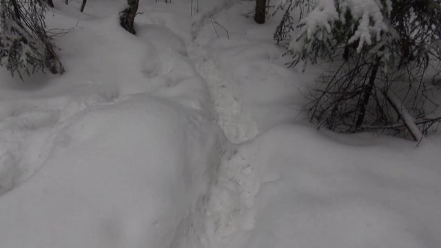 По зимнему лесу смотреть онлайн