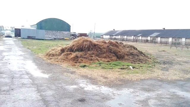 Буренки живут на улице смотреть онлайн