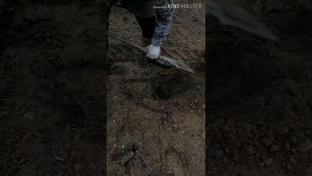 Самодельный металлоискатель смотреть онлайн