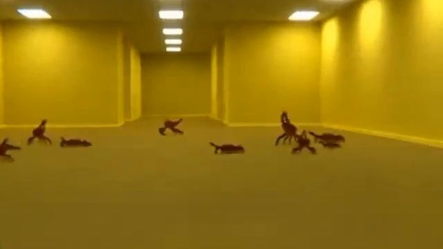 Бекрумс ВАКА ВАКА эй эй! смотреть онлайн