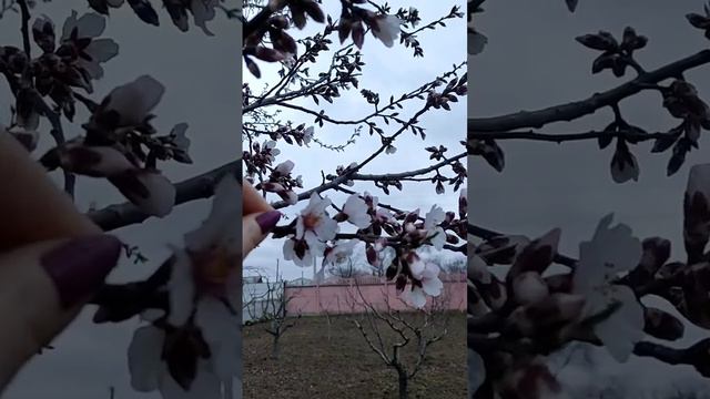 Весна в Крыму! смотреть онлайн