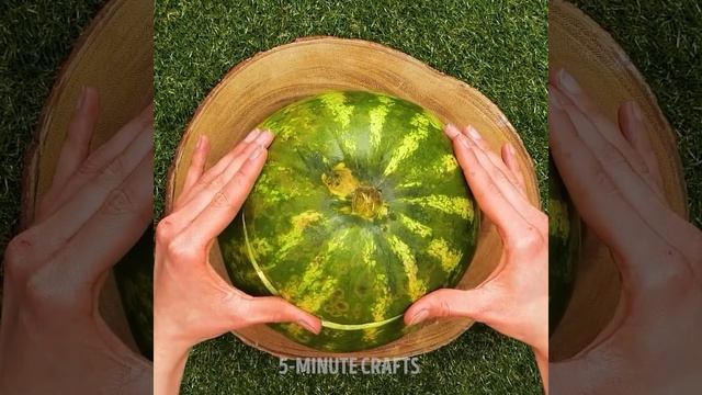 WATERMELON PARTY HACKS ? Amazing Party Tricks For Friends and Family смотреть онлайн