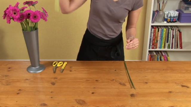 Triangle Nursery - Wiring Gerbera смотреть онлайн