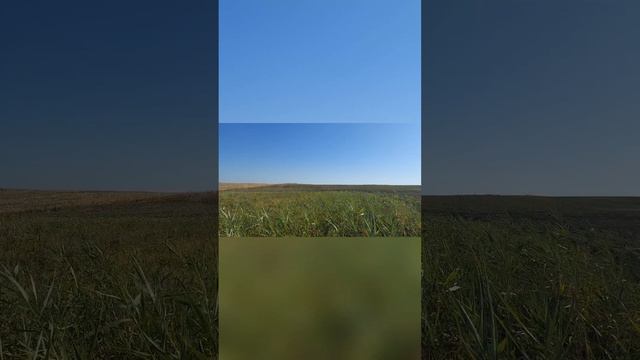 Охота