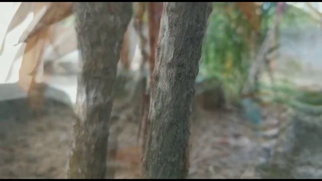 Video Bokeh Mantap Coba-Coba Di Bebatuan смотреть онлайн