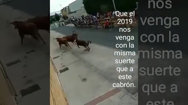 Corrida de toros españa смотреть онлайн