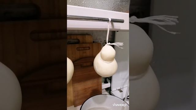 Изготовление сыра в домашних условиях. смотреть онлайн
