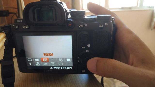 Sony a7iii + la-ea4r(monster adaptor) + Minolta AF Reflex 500mm f/8 test смотреть онлайн