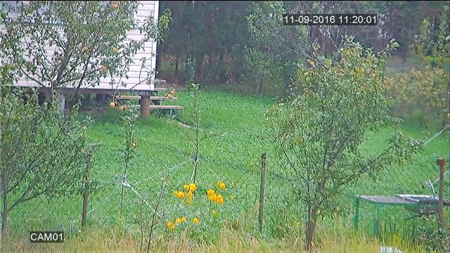 TBC-A5581HD день 1 смотреть онлайн