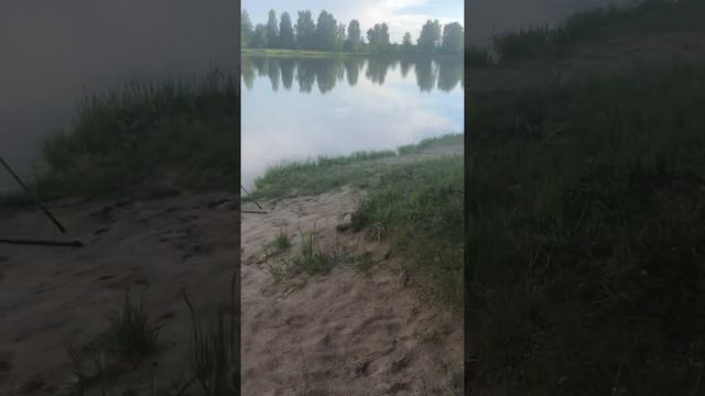 Трофей на Элитном смотреть онлайн