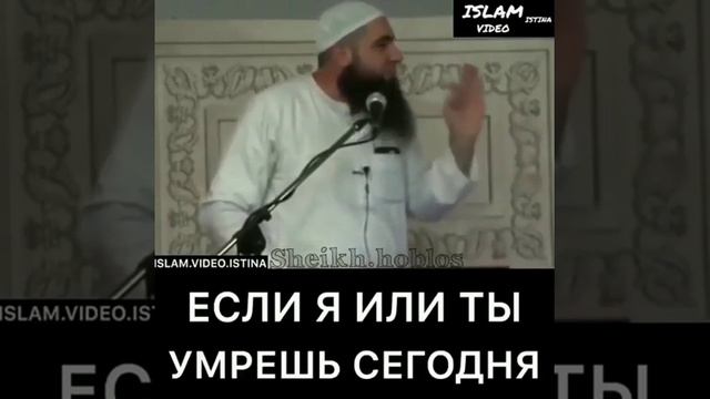 Если я или ты умрешь сегодня?? смотреть онлайн