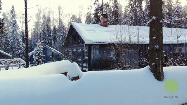 РОМАНОВ ЛЕС ЗИМА 2021 смотреть онлайн