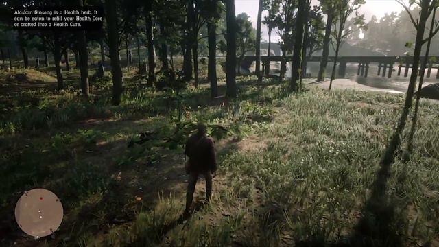RDR 2 Strangers: Charlotte - Hunting смотреть онлайн