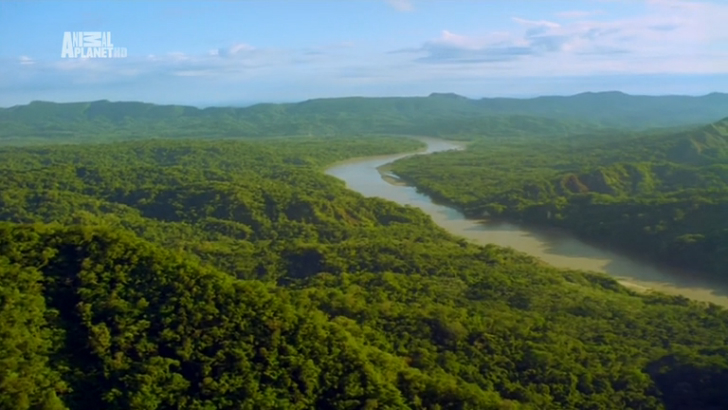 Life In The Amazonia