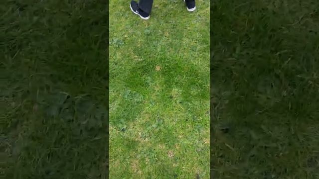 3 weirdos in emerson смотреть онлайн