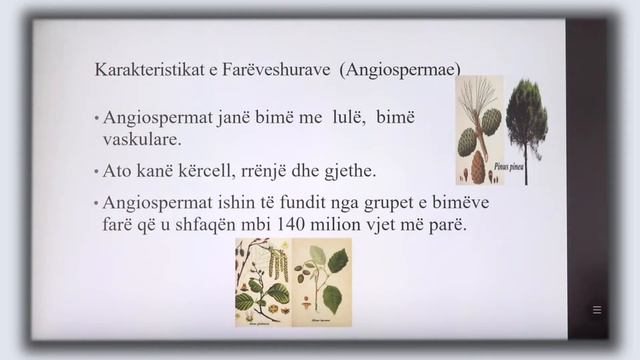 9 06 018 - Java e nëntë - Biologji смотреть онлайн